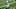 Minnesota Vikings Minnesota Vikings