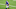 Minnesota Vikings Minnesota Vikings