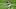 Minnesota Vikings Minnesota Vikings
