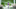 Minnesota Vikings Minnesota Vikings