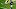 Minnesota Vikings Minnesota Vikings