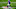 Minnesota Vikings Minnesota Vikings