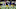 Minnesota Vikings Minnesota Vikings