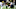Minnesota Vikings Minnesota Vikings