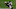 Minnesota Vikings Minnesota Vikings