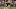 Minnesota Vikings Minnesota Vikings