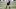 Minnesota Vikings Minnesota Vikings