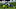 Minnesota Vikings Minnesota Vikings