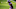 Minnesota Vikings Minnesota Vikings