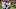 Minnesota Vikings Minnesota Vikings