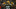 Minnesota Vikings Minnesota Vikings