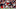 Minnesota Vikings Minnesota Vikings