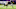 Minnesota Vikings Minnesota Vikings