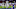 Minnesota Vikings Minnesota Vikings