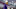 Minnesota Vikings Minnesota Vikings