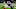 Minnesota Vikings Minnesota Vikings
