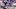 Minnesota Vikings Minnesota Vikings