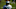 Minnesota Vikings Minnesota Vikings