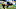 Minnesota Vikings Minnesota Vikings