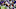 Minnesota Vikings Minnesota Vikings