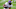 Minnesota Vikings Minnesota Vikings