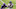 Minnesota Vikings Minnesota Vikings