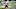 Minnesota Vikings Minnesota Vikings
