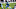 Minnesota Vikings Minnesota Vikings