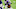 Minnesota Vikings Minnesota Vikings