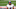 Minnesota Vikings Minnesota Vikings
