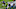 Minnesota Vikings Minnesota Vikings