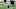 Minnesota Vikings Minnesota Vikings