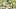 Minnesota Vikings Minnesota Vikings