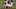 Minnesota Vikings Minnesota Vikings