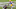 Minnesota Vikings Minnesota Vikings