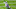 Minnesota Vikings Minnesota Vikings