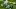 Minnesota Vikings Minnesota Vikings