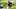 Minnesota Vikings Minnesota Vikings