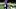 Minnesota Vikings Minnesota Vikings
