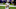 Minnesota Vikings Minnesota Vikings