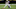 Minnesota Vikings Minnesota Vikings