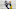 Minnesota Vikings Minnesota Vikings