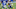 Minnesota Vikings Minnesota Vikings