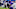 Minnesota Vikings Minnesota Vikings