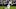 Minnesota Vikings Minnesota Vikings