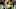 Minnesota Vikings Minnesota Vikings