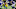 Minnesota Vikings Minnesota Vikings