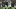 Minnesota Vikings Minnesota Vikings
