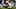 Minnesota Vikings Minnesota Vikings