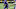 Minnesota Vikings Minnesota Vikings